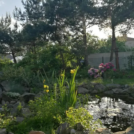 Wellspring *