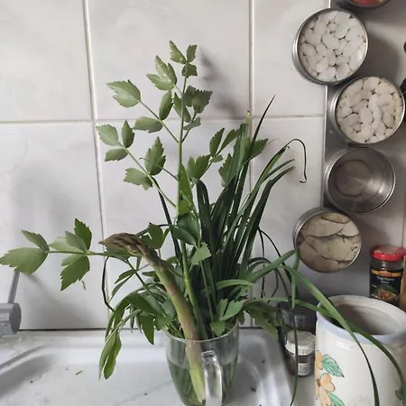 Wellspring Nocleg ze śniadaniem Radom