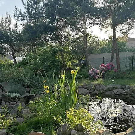 Nocleg ze śniadaniem Wellspring *