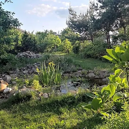 Nocleg ze śniadaniem Wellspring