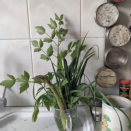Wellspring Nocleg ze śniadaniem *