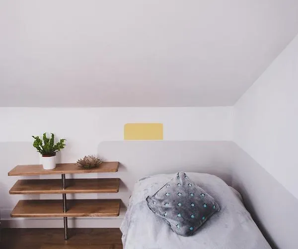 Bed & Breakfast Wellspring *