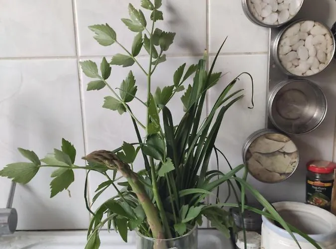 Wellspring Bed & Breakfast Radom