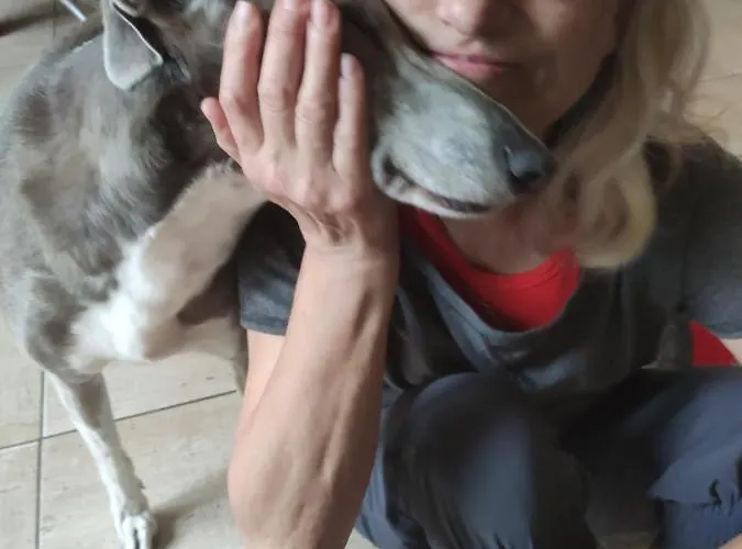 Bed & Breakfast Wellspring Radom